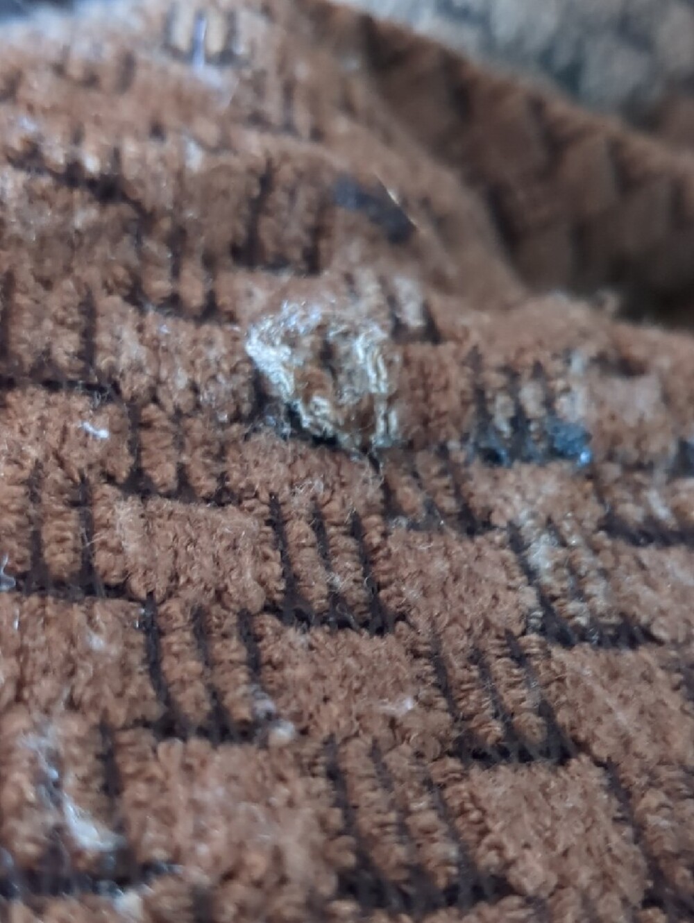 Olive Green Textured Open-Front Women's Cardigan - Picture 8 of 8